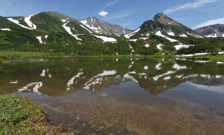 Камчатки