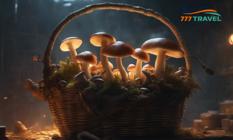 Китайские туристы