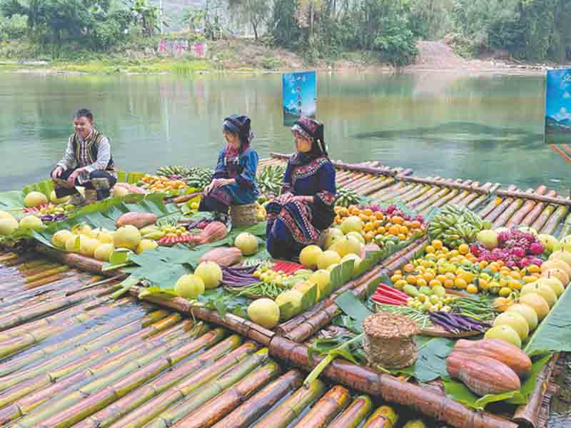 Guizhou