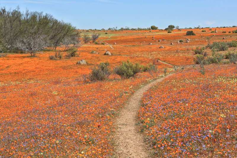 Национальный парк Namaqua