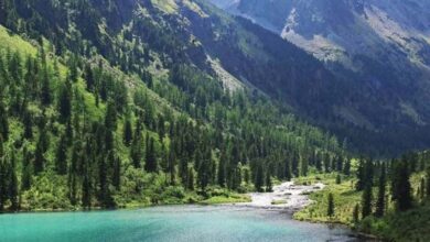 Туризм середины лета