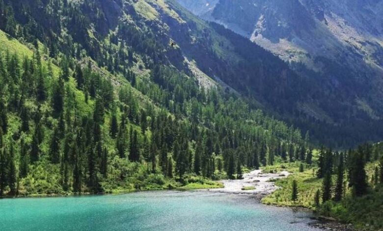 Туризм середины лета